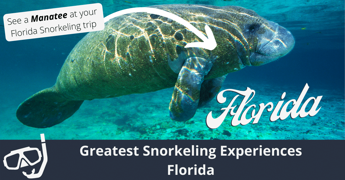 Greatest Snorkeling Experiences Florida