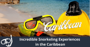 Increíbles Experiencias de Snorkel en el Caribe