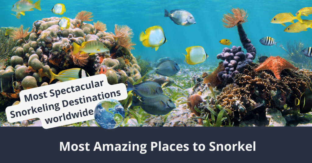 Most Astonishing Snorkeling Destinations in the World
