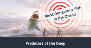 Los peces más peligrosos del océano