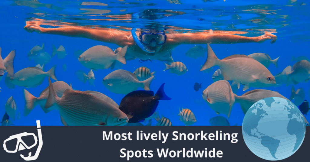 Les spots de snorkeling les plus animés du monde