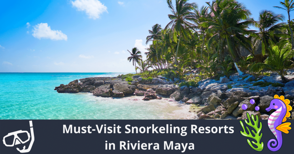 Doit visiter les stations de plongée en apnée de la Riviera Maya