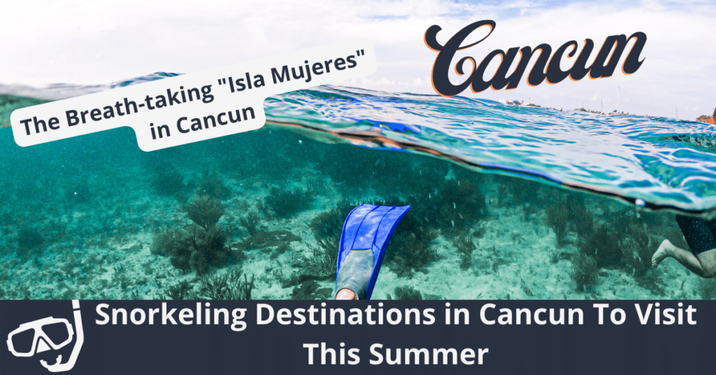 Destinos de snorkel en Cancún para visitar este verano