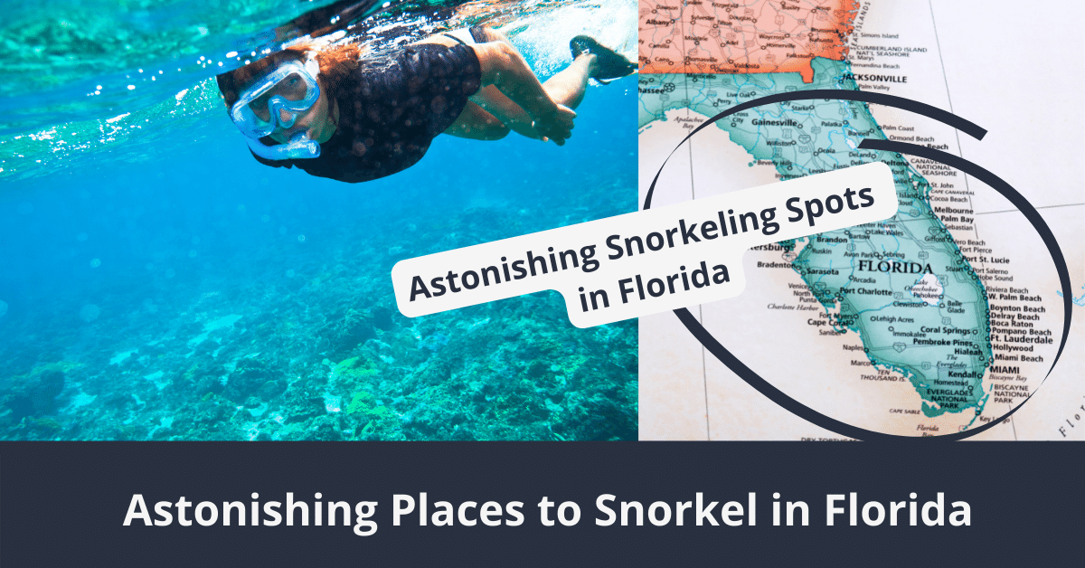 Les meilleurs endroits pour faire du snorkeling en Floride