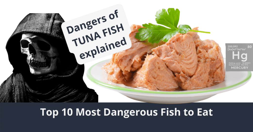 Los 10 pescados más peligrosos para comer