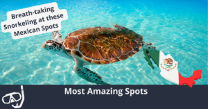Los mejores lugares para practicar snorkel en México
