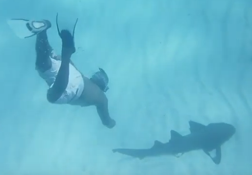 In Little Corn Island you can snorkel among sharks which make the spot one of the unknown, yet best snorkeling spots in Central America.