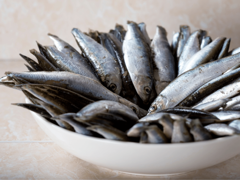 Top 10 Most Common Fish In The Sea You Never Heard Of | ISM