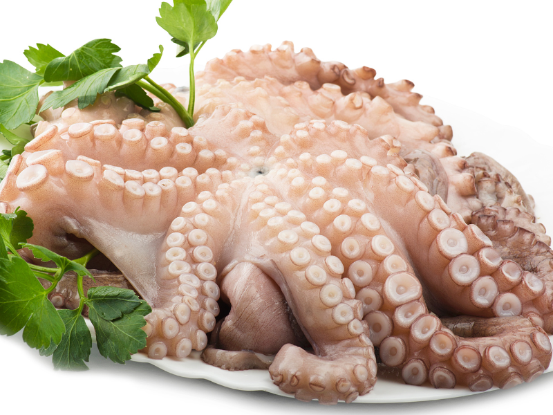 Most Dangerous Fish To Eat Live Octopus