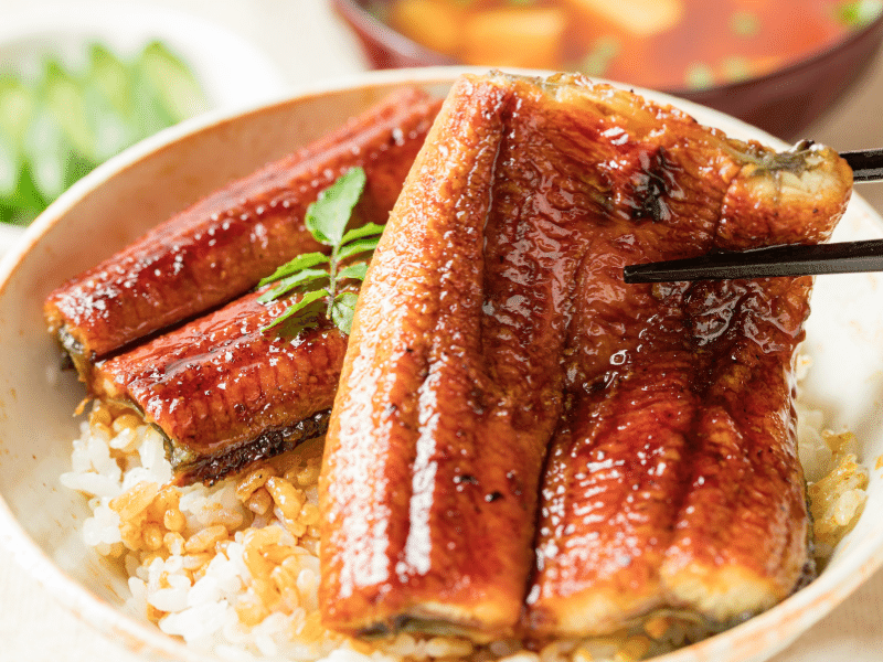 Poisson le plus cher à manger baie d'anguille