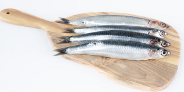 El pescado más consumido: ¡La anchoveta peruana Engraulis Ringens se consume mucho!