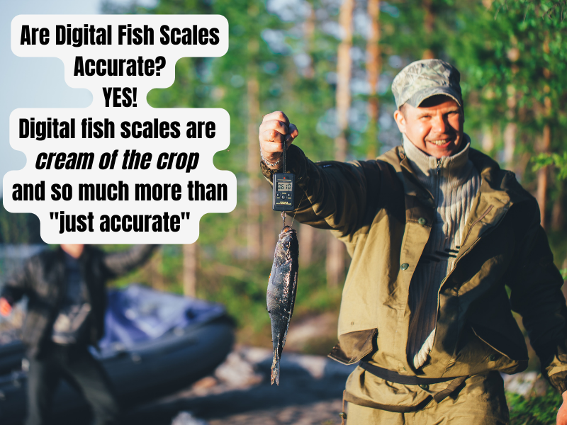 ¿Son precisas las balanzas digitales para peces?