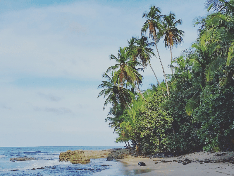 Les meilleurs sites de plongée en apnée au Costa Rica : Gandoca Manzanillo