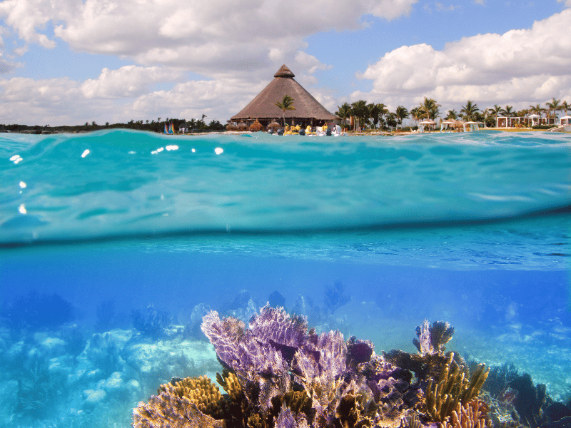 Los mejores lugares para bucear en Cancun Akumal
