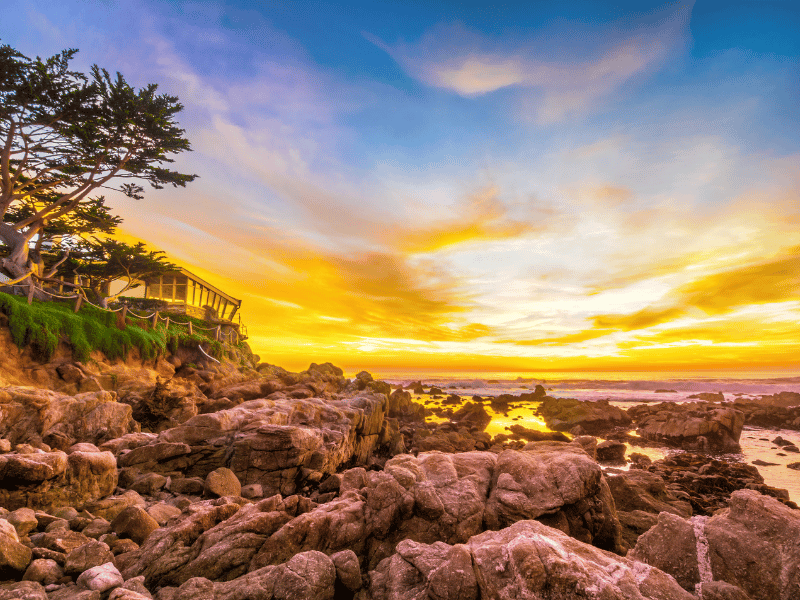 Best Snorkeling in California Carmel River State Beach 1