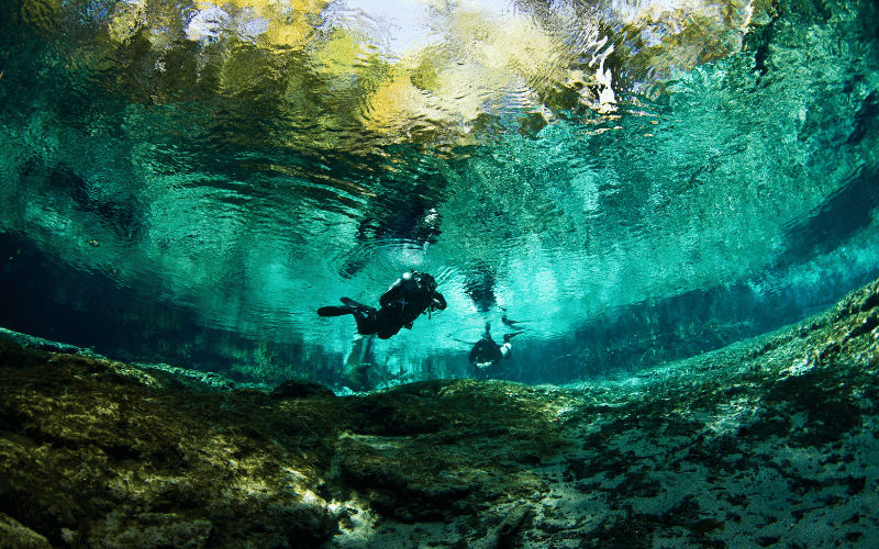 Beste Schnorchelplätze in Florida Ginnie Springs ist erstaunlich