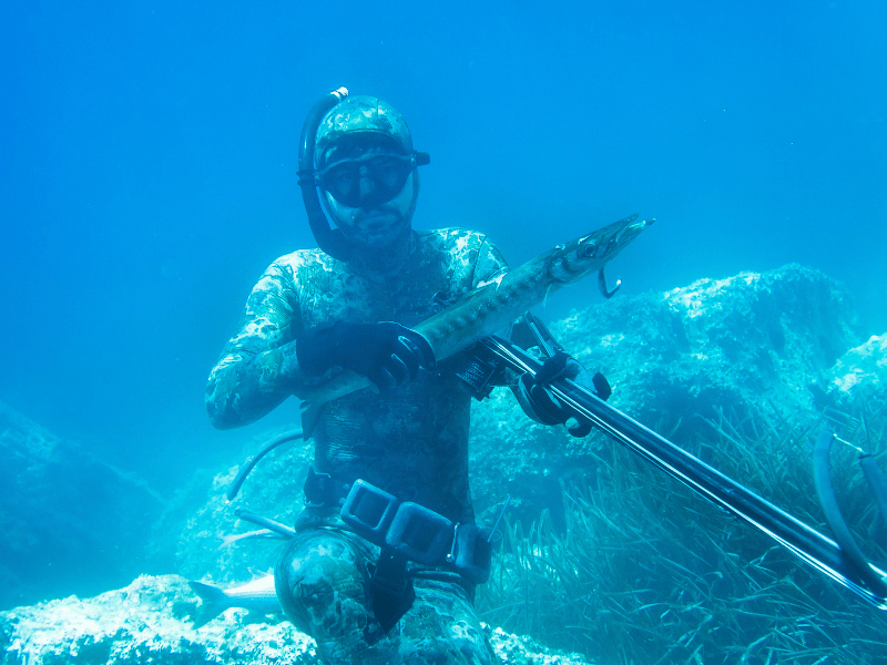 Los mejores documentales de pesca submarina Películas de pesca submarina