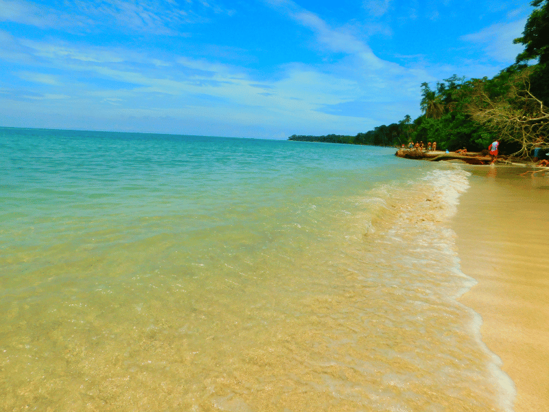 Cahuita Beach Snorkeling in Costa Rica from the shore