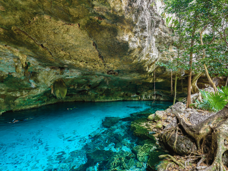 Cenote Dos Ojos 1