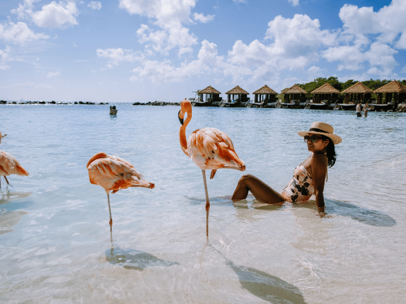 Flamingo Strand von Aruba