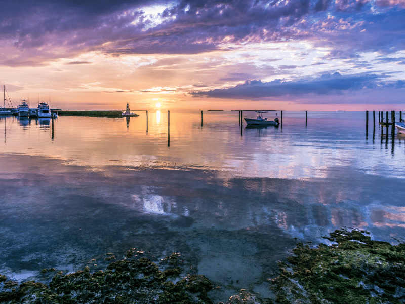 Islamorada Schnorchelspots Seichtes und sauberes Wasser bieten perfekte Bedingungen für einen Schnorchelausflug