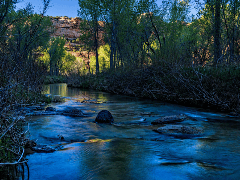 La descente de la rivière Escalante en packraft est l'une des meilleures expériences de rafting dans l'Utah !