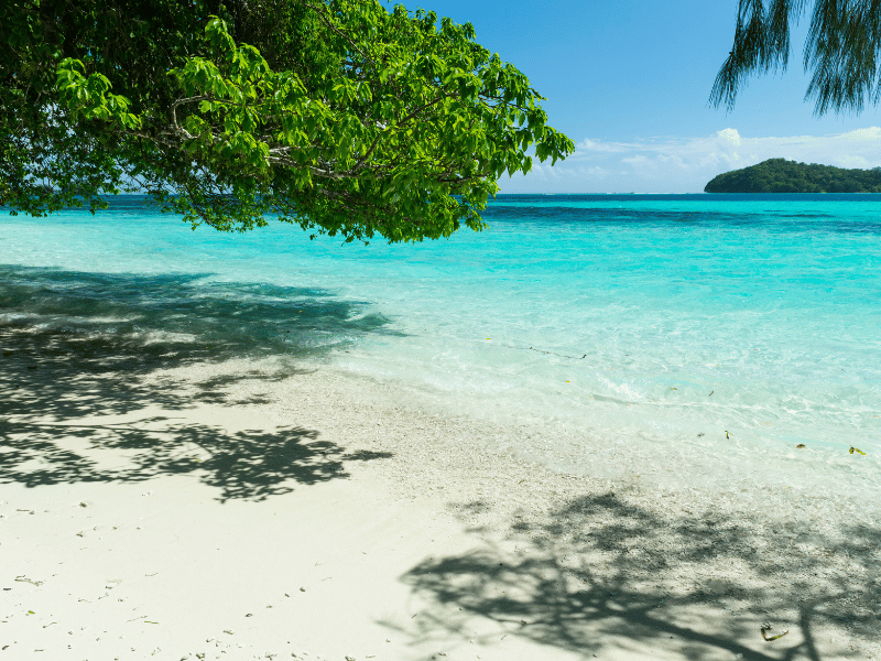 Palau Snorkeling 3