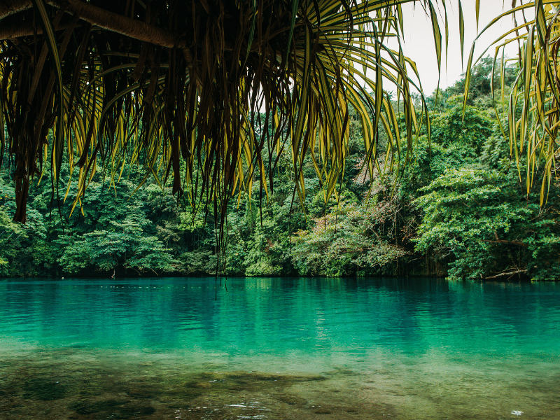 Plongée en apnée en Jamaïque Le Lagon Bleu à Portland