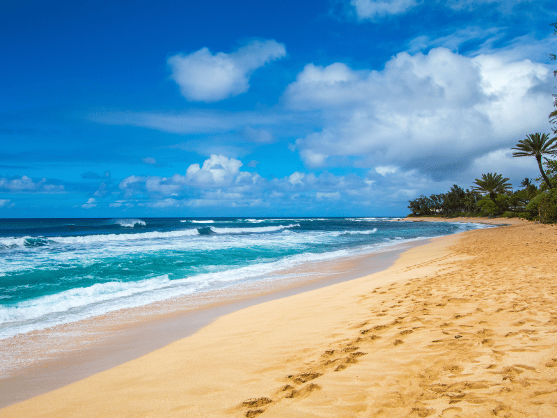 Esnórquel desde la playa en Hawaii 1