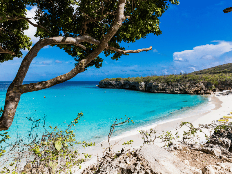 Plongée en apnée à Curaçao La plage immaculée de Grote Knip est l'un des meilleurs endroits de Curaçao.