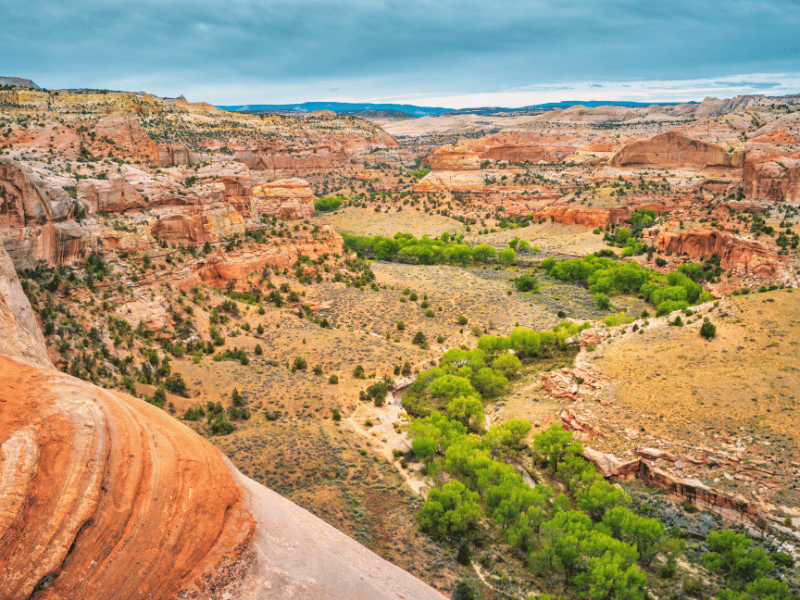 The Escalante river from the Grand Staircase Escalante National Monument