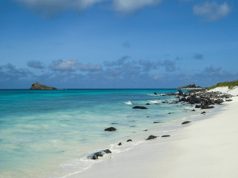 Top 10 Schnorchelspots der Welt Galapagos-Inseln