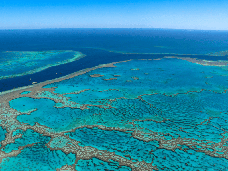 Die 10 besten Schnorchelspots der Welt Great Barrier Reef 2