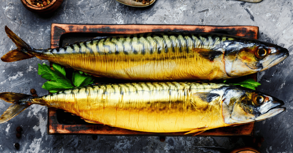 Best fish to smoke for people who like it more fatty Mackerel
