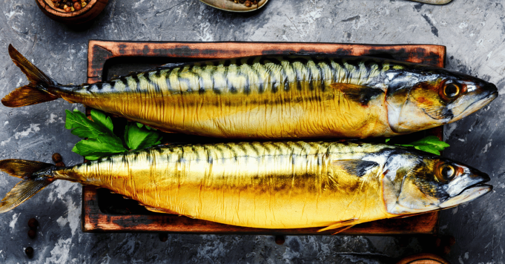 El mejor pescado para ahumar para las personas a las que les gusta más graso Caballa