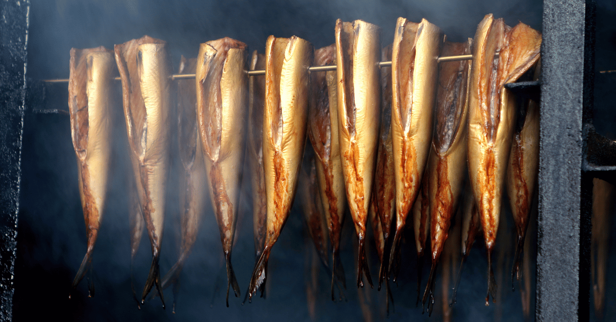 Best Smoker For Fish 8 Picks Of 2023