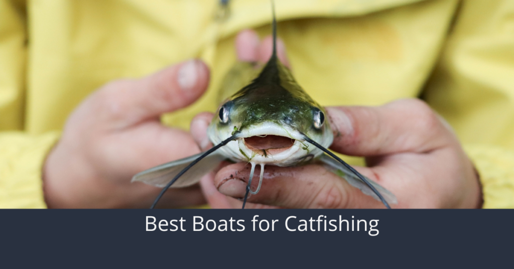 Les meilleurs bateaux pour la pêche au chat