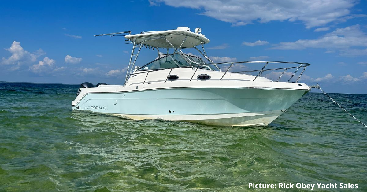 19 Best Boats For Lake Michigan: Size, Engine, Stability, And Safety | ISM